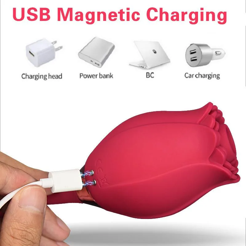 Rose Clit Sucking Toy with Vibrating Egg 3 Rose Clit Sucking Toy with Vibrating Egg 3