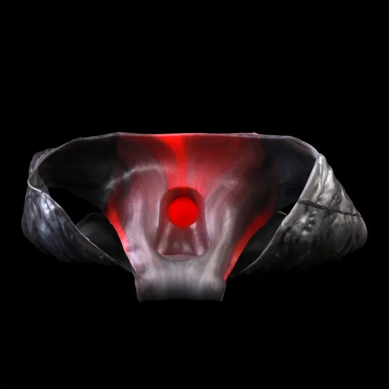 Fantasy Textured Penis Pants Wearable Silicone Hollow Dildo Sleeve 8 Fantasy Textured Penis Pants Wearable Silicone Hollow Dildo Sleeve 8